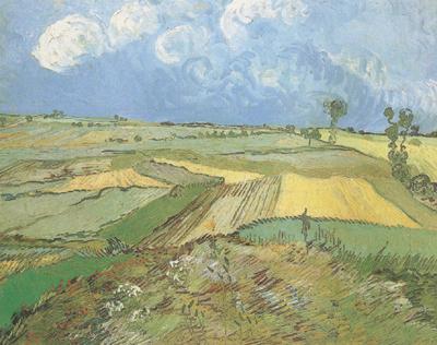 Vincent Van Gogh Wheat Fields at Auvers under Clouded Sky (nn04) oil painting picture
